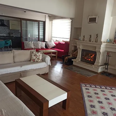 Villa Masal Evi Sakarya (Marmara)