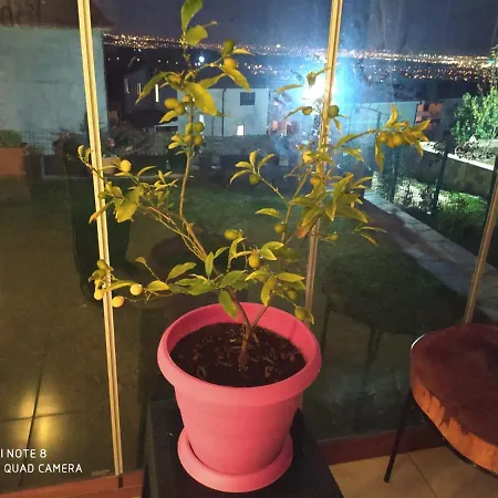 Masal Evi *